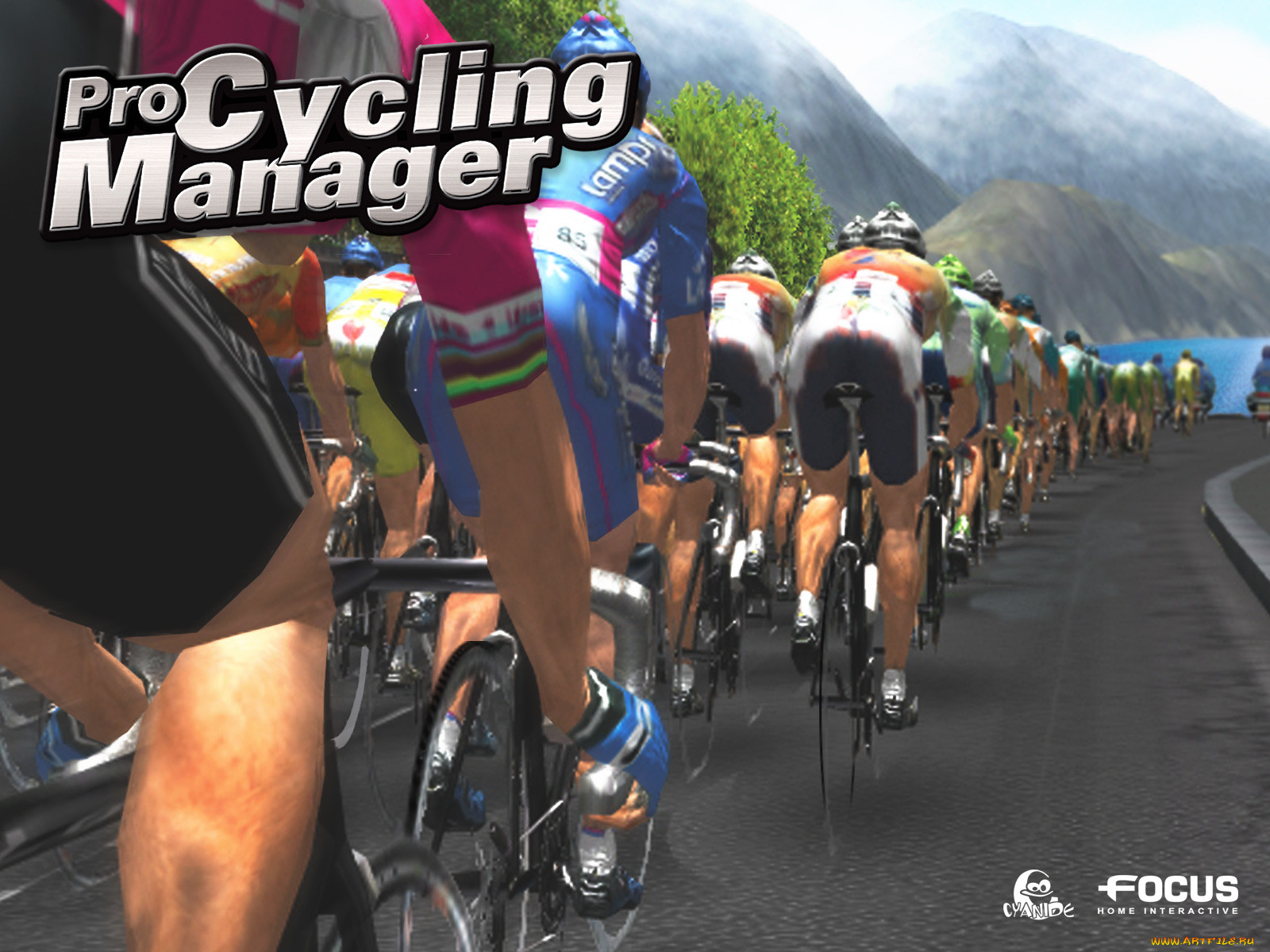 , , pro, cycling, manager